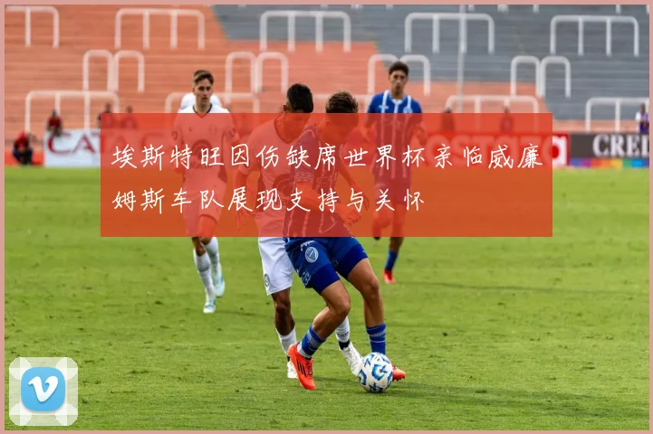 埃斯特旺因伤缺席世界杯亲临威廉姆斯车队展现支持与关怀